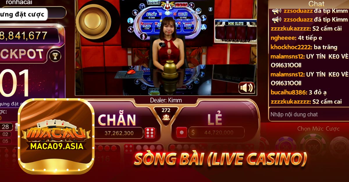 Sòng bài (live casino) 